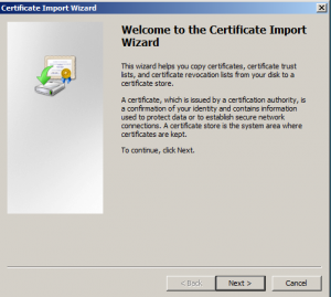 windows-ssl-import-2